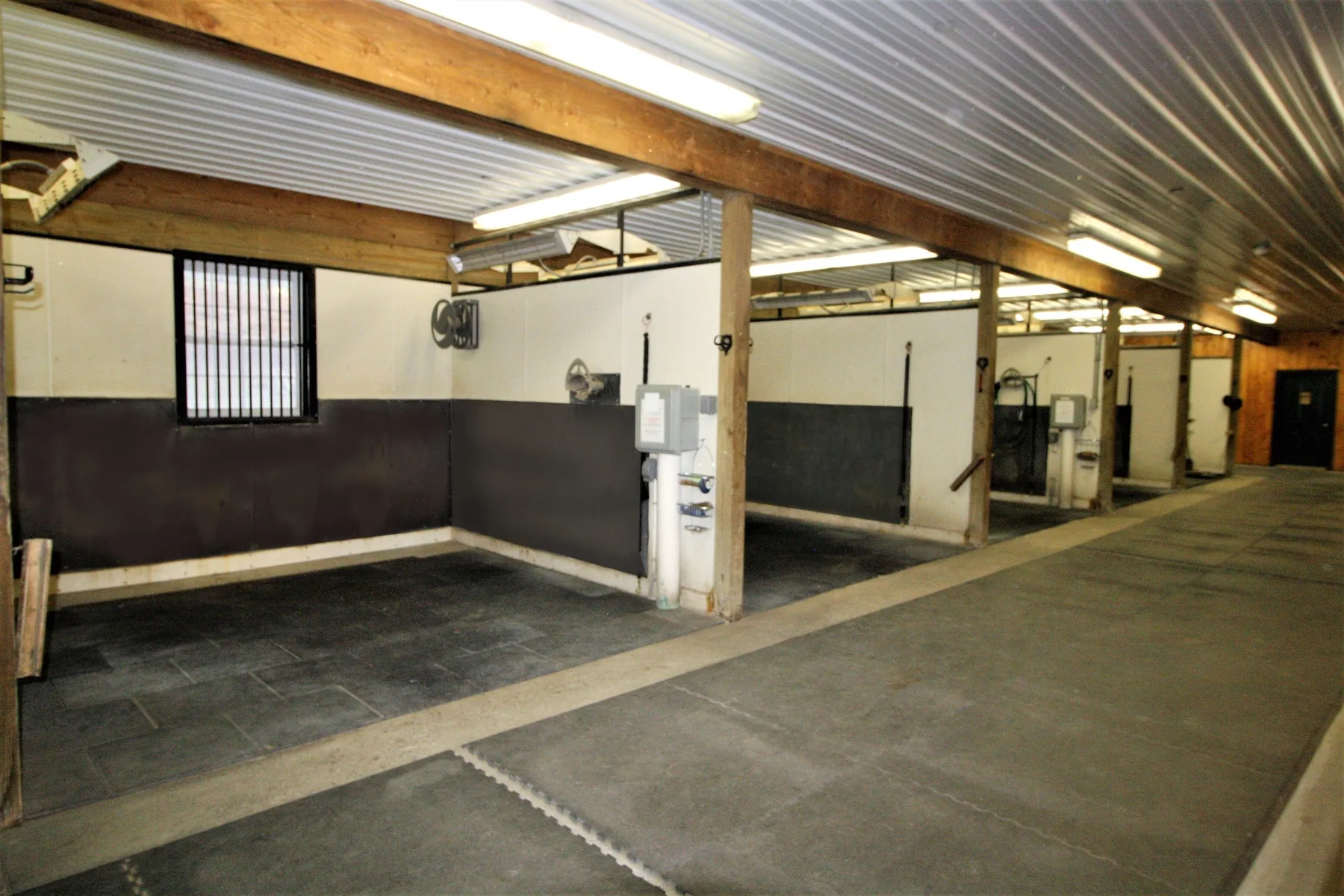 5 oversized, heated, matted wash stalls
